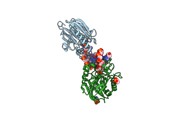 5INP image