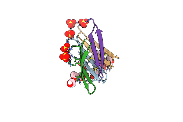 5INZ image