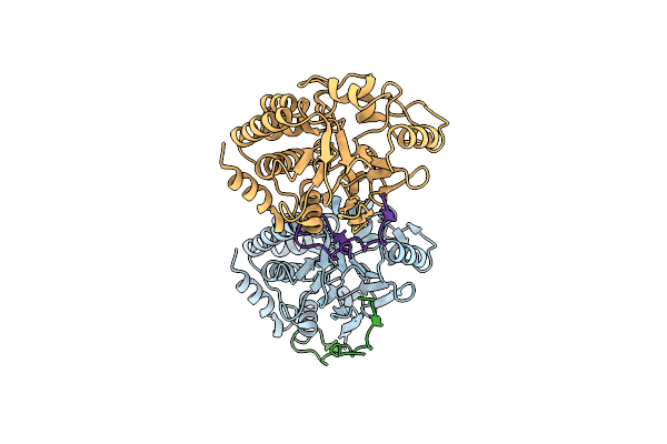 5IOH image