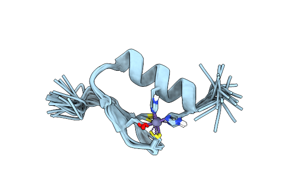 5ION image