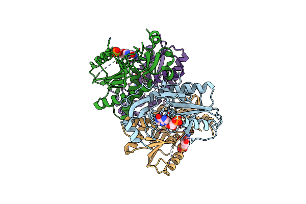 5IPF image