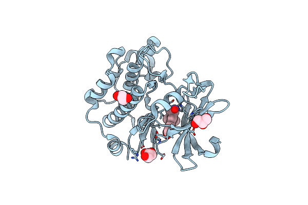 5IPJ image