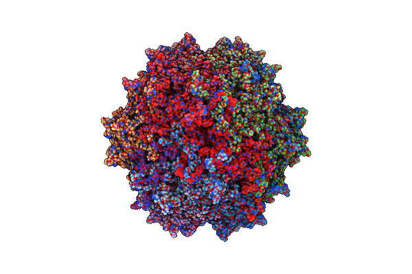 5IPK image