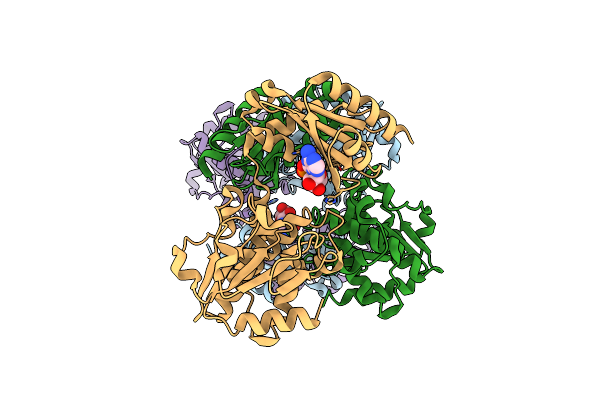 5IPP image