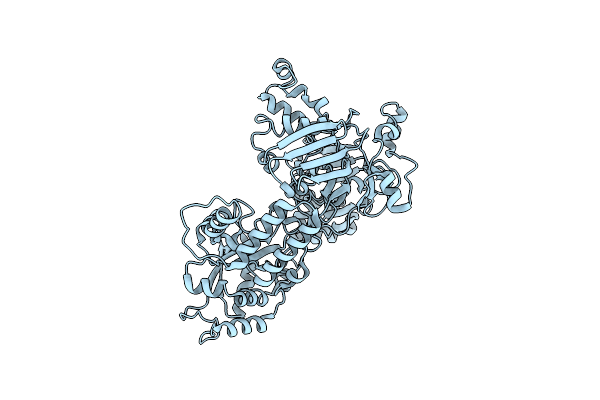 5IPW image