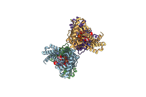 5IQB image