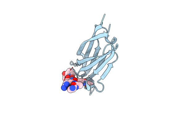 5IQL image