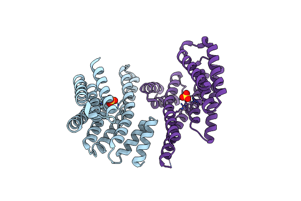 5IQP image