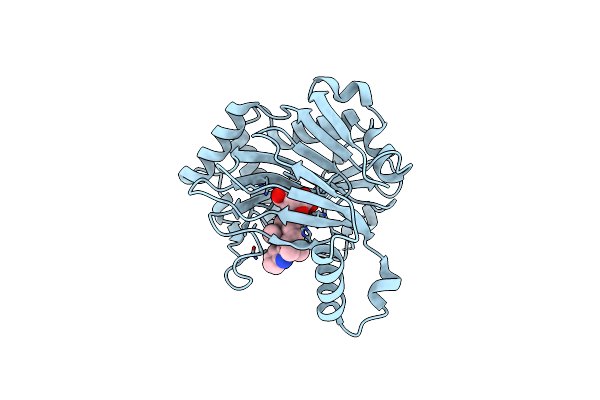 5IQU image