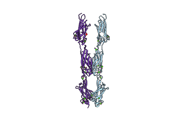 5IRB image