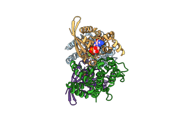 5IRC image