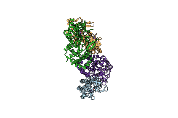 5IRG image