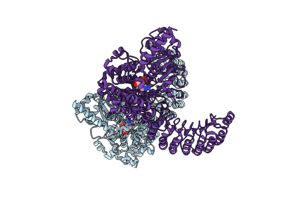 5IRM image