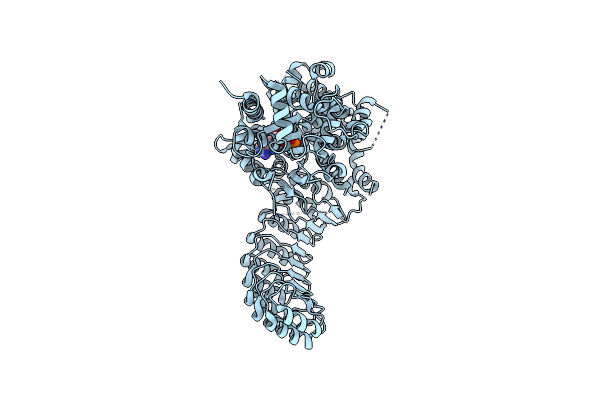 5IRN image