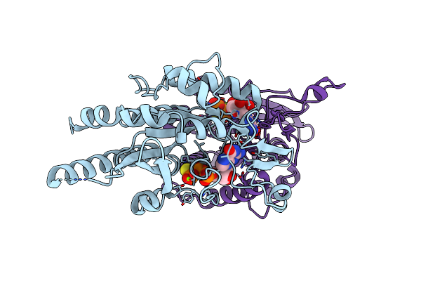 5IRR image