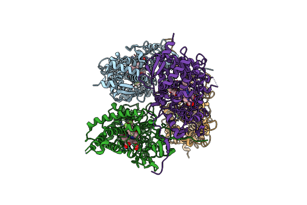 5IRV image