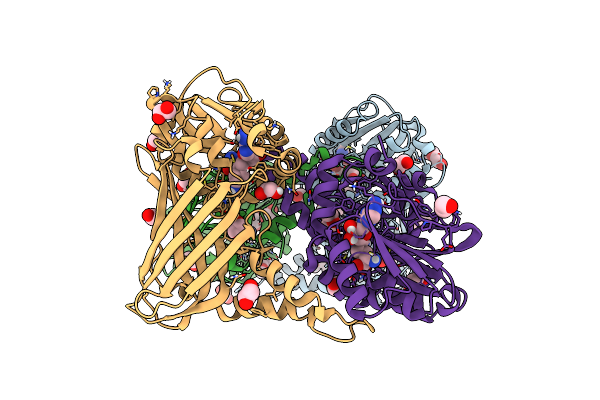 5ISG image