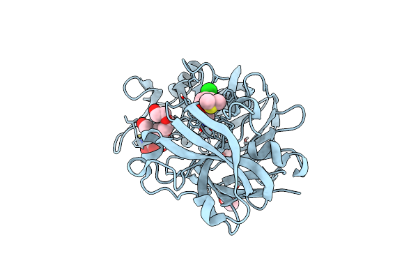 5ISJ image