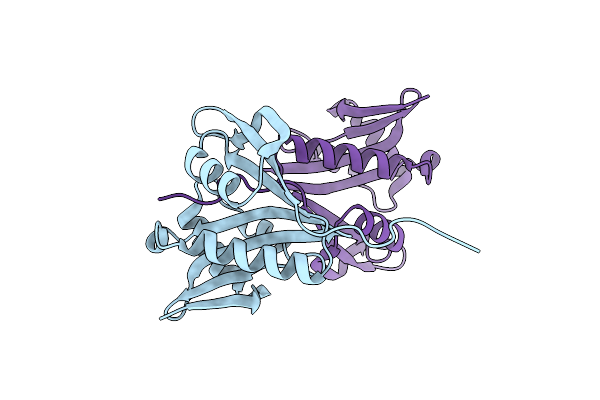 5ISV image
