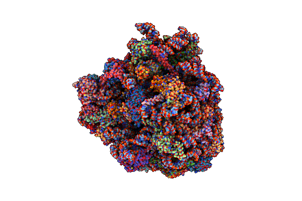 5IT7 image
