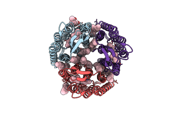 5ITC image