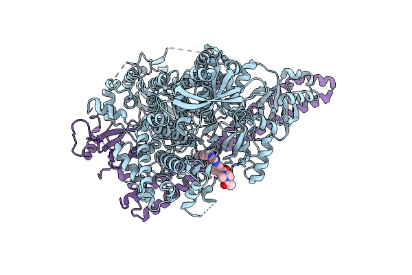 5ITD image