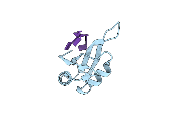 5ITH image