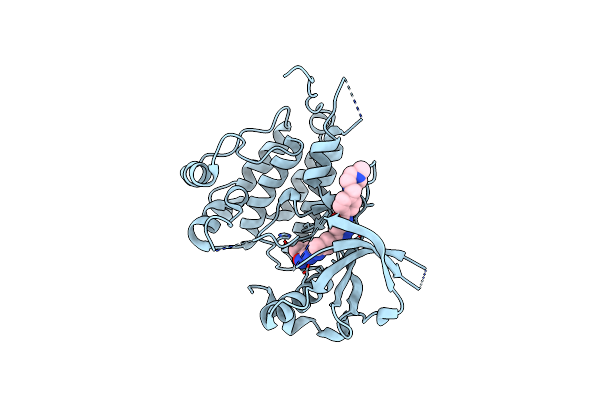 5IUG image