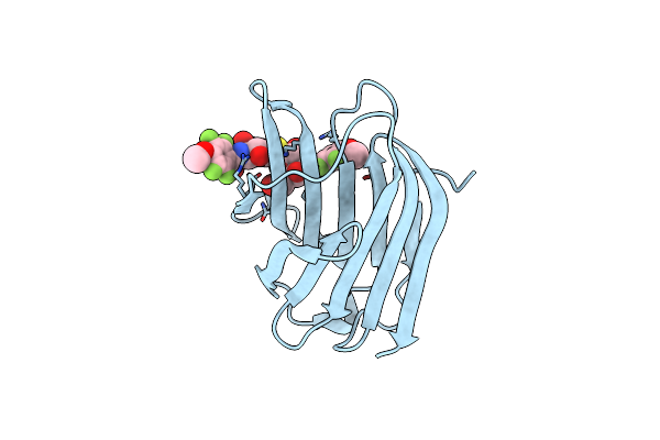 5IUQ image