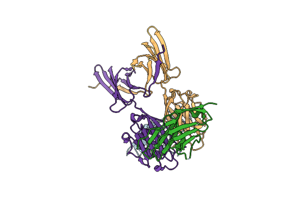 5IUS image