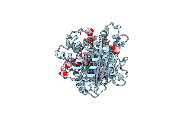 5IV4 image