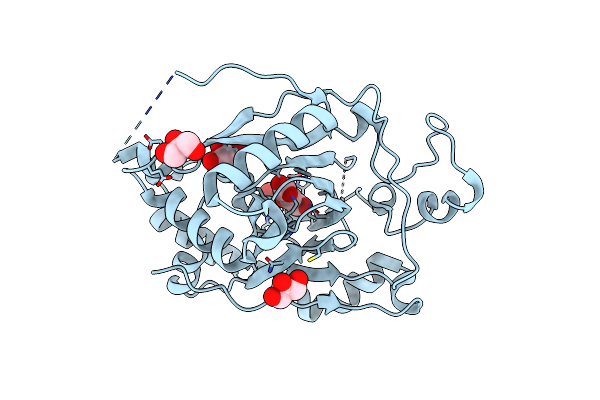 5IVB image