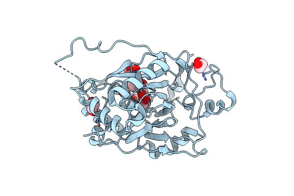 5IVC image