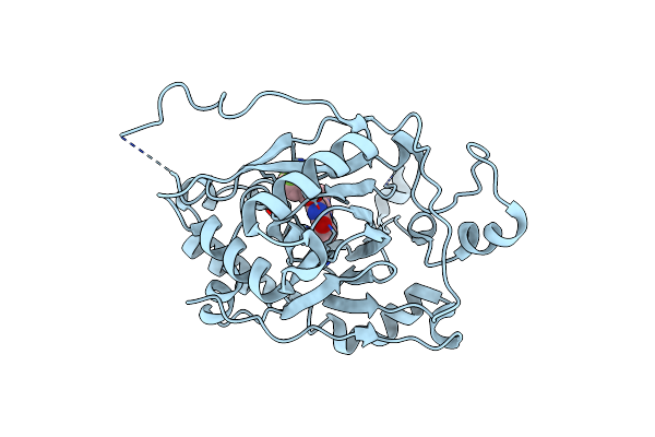 5IVF image