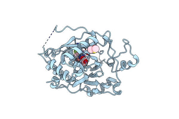 5IVJ image