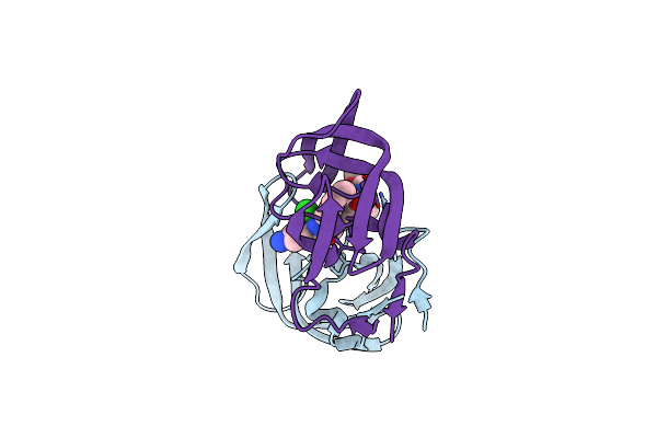 5IVR image
