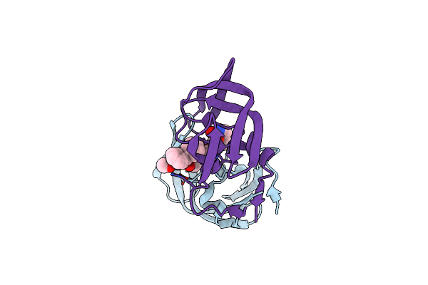 5IVS image