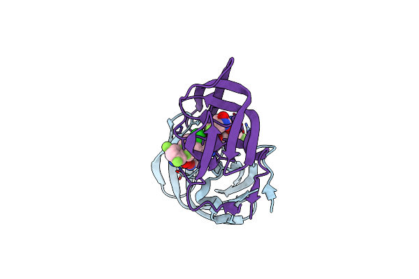 5IVT image