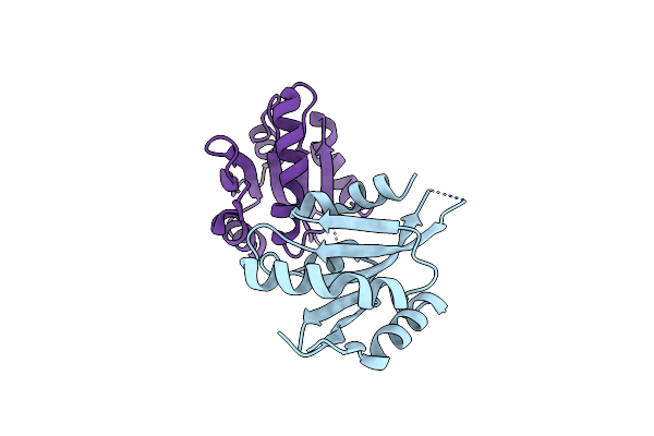 5IVU image
