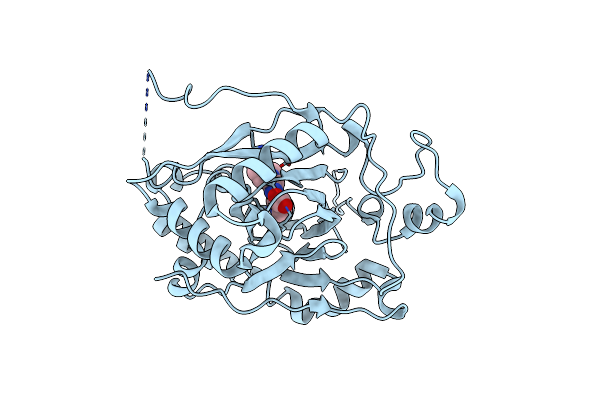 5IVV image