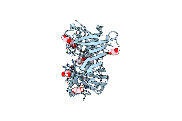 5IWE image