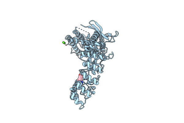 5IWP image