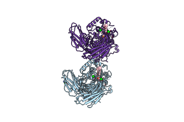 5IXC image