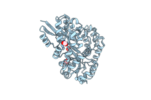 5IXP image