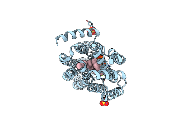 5IYS image