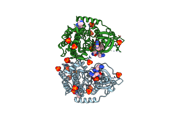5IZJ image