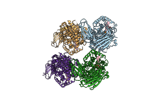 5IZR image