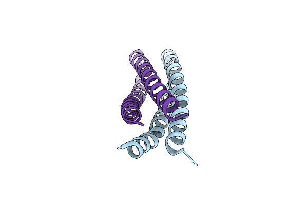 5J10 image