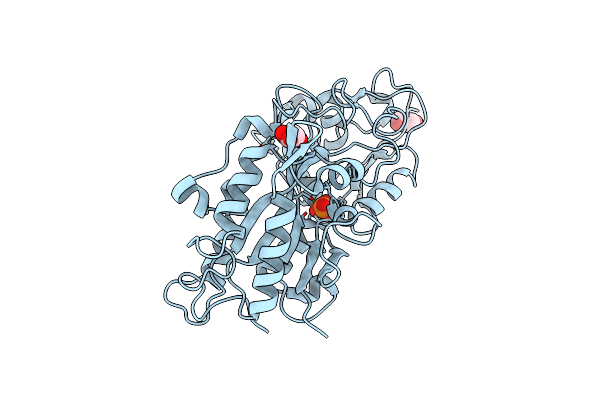 5J1D image