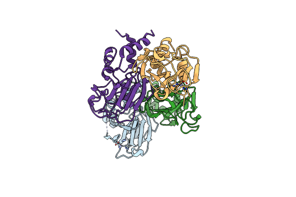 5J1L image